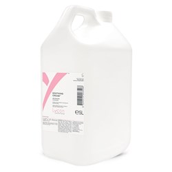 22808- 5 LITRE 